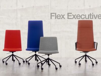 Flex Executive