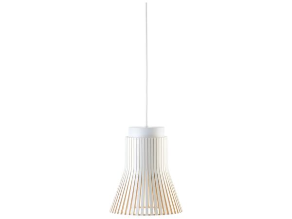 2_petite-4600_color_white.jpg