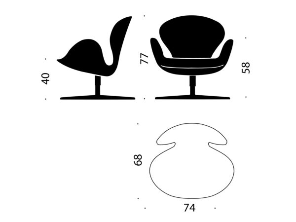 3_Le Cygne31.jpg