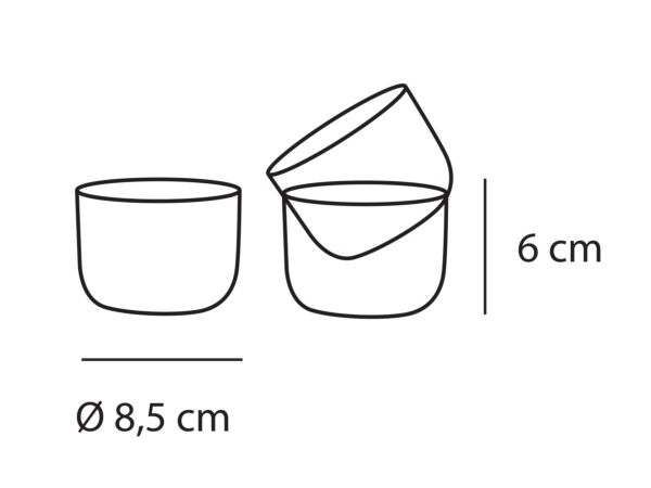 3_Corky03.jpg
