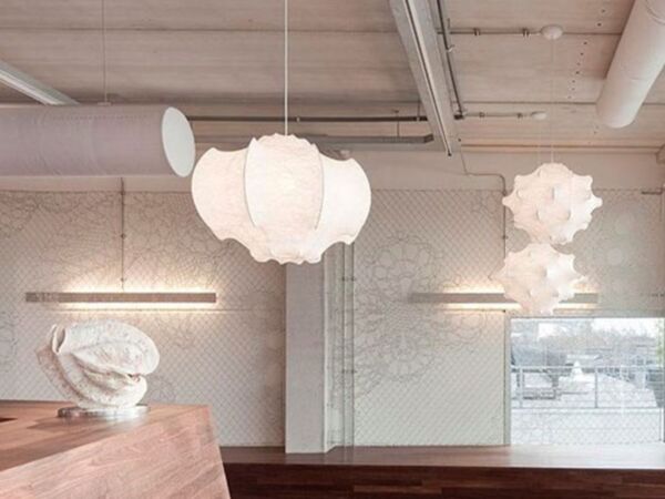 5_d.jpg