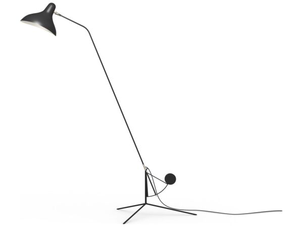 2_MANTIS B S1 .jpg