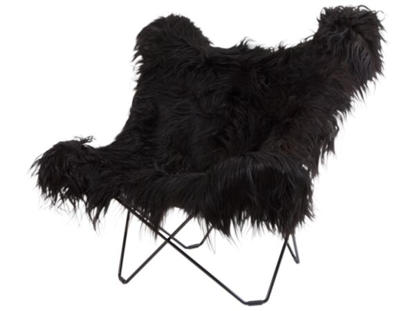 2_Iceland_Mariposa_wild_black_BIG.jpg