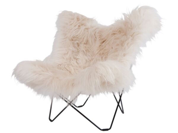 2_Iceland_Mariposa_wild_white_BIG.jpg