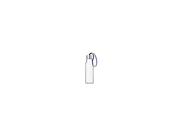 7_Drinking bottle Electric blue 502989.jpg