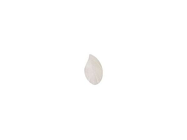 7_zoom_quill_l Copie.jpg