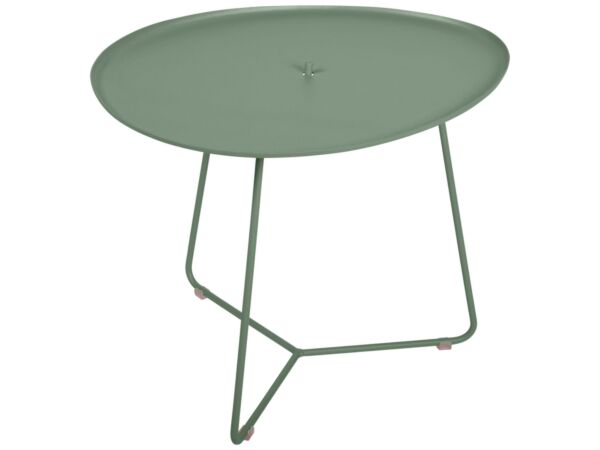 2_cocotte_table-basse_cactus.jpg