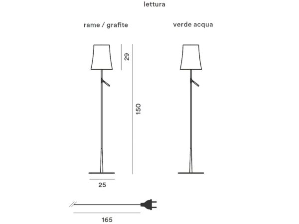 3_new.birdie.lettura.JPG