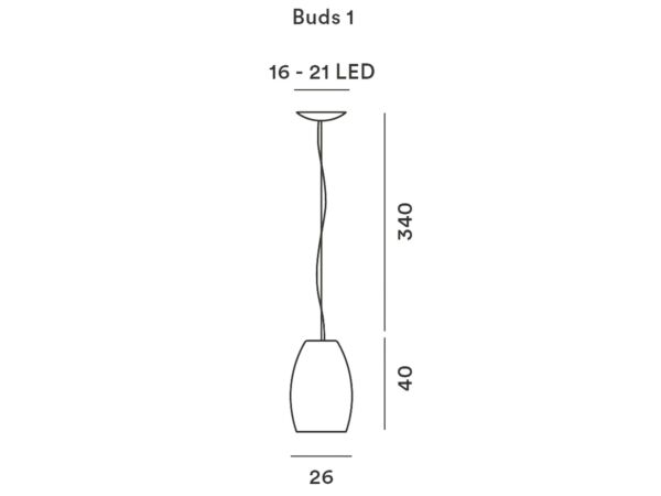 3_buds3.1.jpg