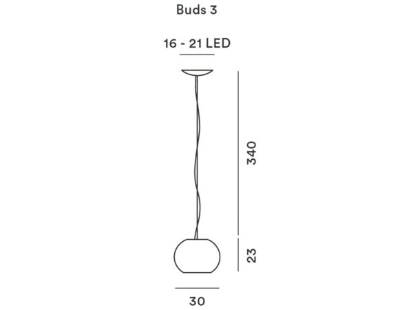 3_buds3.3.jpg
