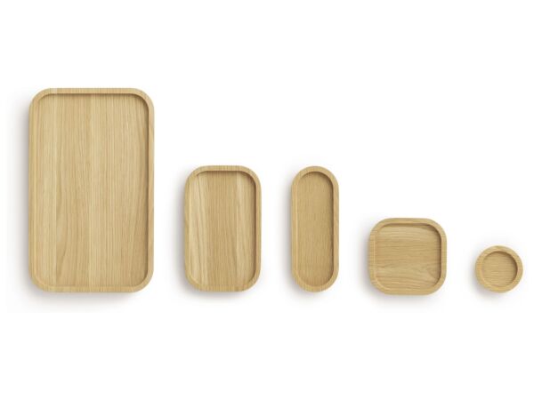 2_zAstro_tray_all.jpg