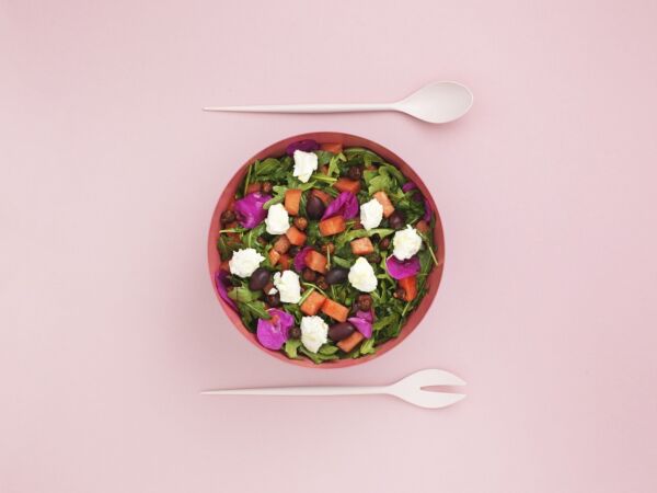 5_2015_summer_salad_352025_krenit_salad_set_rose_1.jpg
