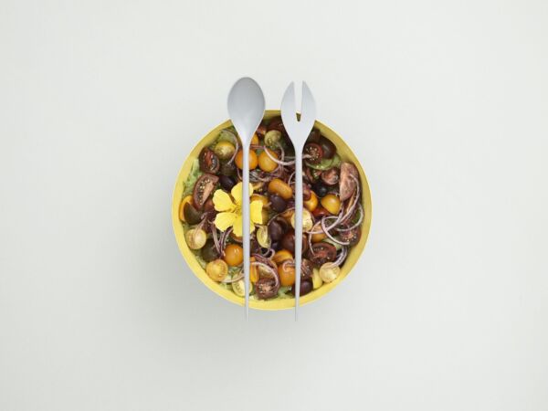 5_2015_summer_salad_352021_krenit_salad_set_grey_1.jpg