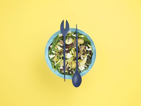 5_2015_summer_salad_352022_krenit_salad_set_blue_1.jpg