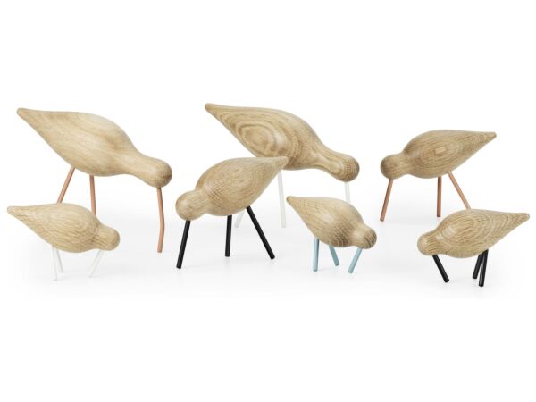 2_z1001_shorebirds_group.jpg