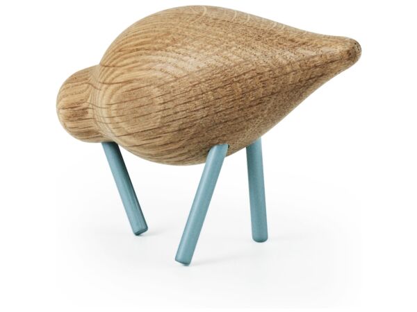 2_zShorebird_small_seablue.jpg