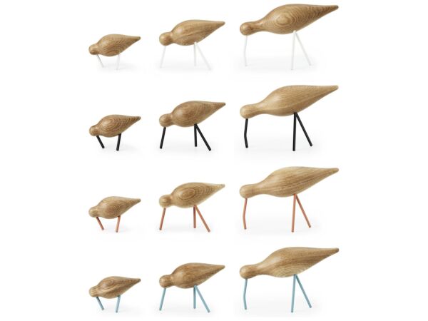 2_zShorebirds_all.jpg
