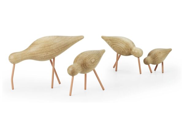 2_zShorebirds_coral_all.jpg
