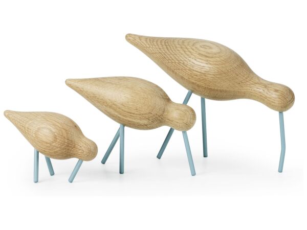 2_zShorebirds_seablue_all.jpg