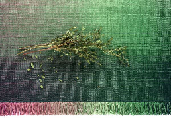 5_shade_macro_palette.jpg
