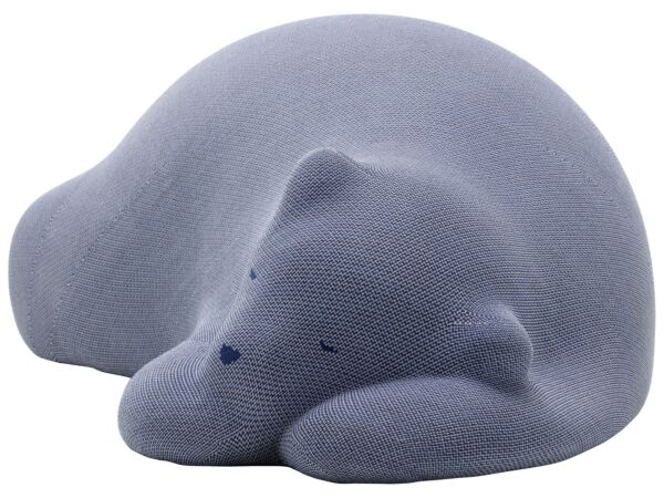 1_2770391_Resting Bear, blue_F_master.jpg