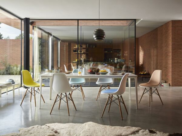 5_2399598_AD_Plate Dining Table Eames Plastic Chair DSW Resting Cat_master.jpg