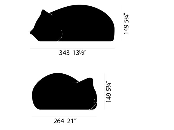 3_Resting Cat.jpg