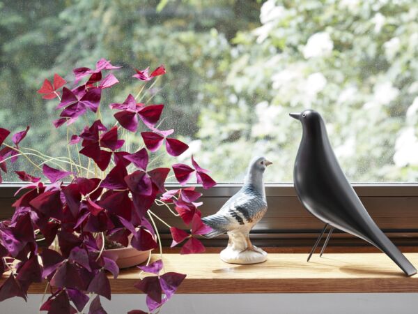 5_Eames House Bird27.jpg