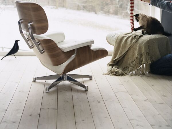 5_Eames House Bird26.jpg