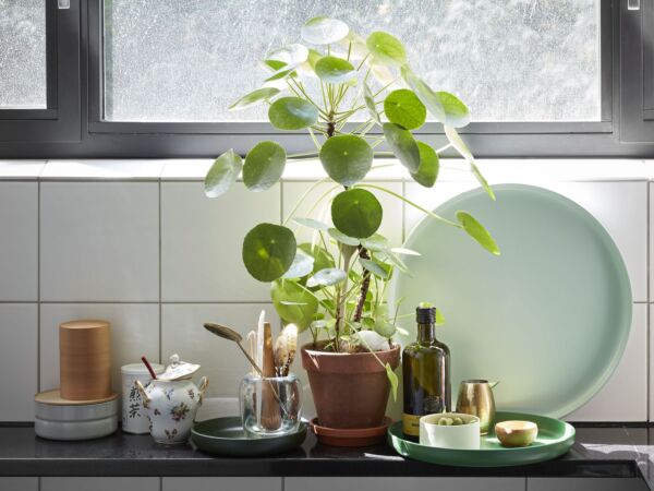 5_Trays Accessories in situ shooting 2018_master.jpg