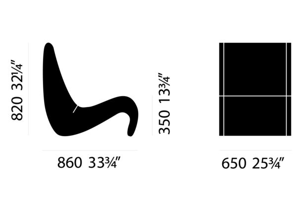 3_Amoebe31.jpg