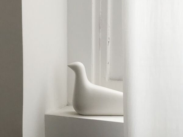 5_L'Oiseau04.jpg