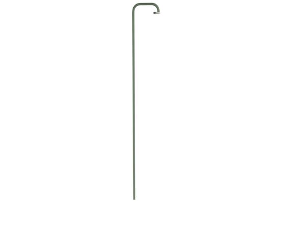 2_BALAD_PIED_SIMPLE_CACTUS.jpg