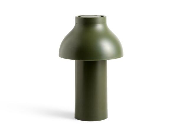 2_PC Portable olive.jpg