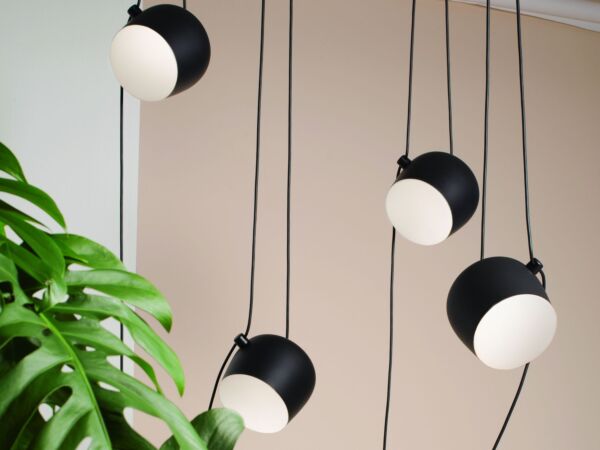 5_Flos04_0132.jpg