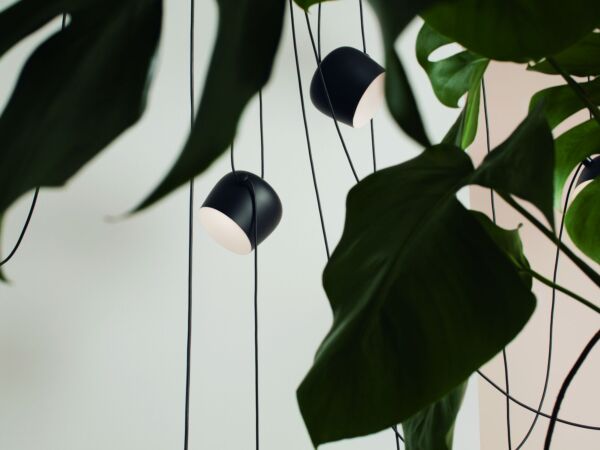 5_Flos04_0113.jpg