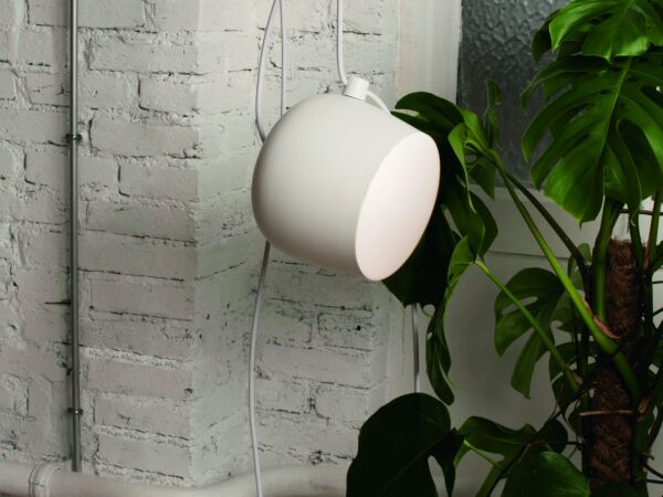 5_Flos 0104.jpg