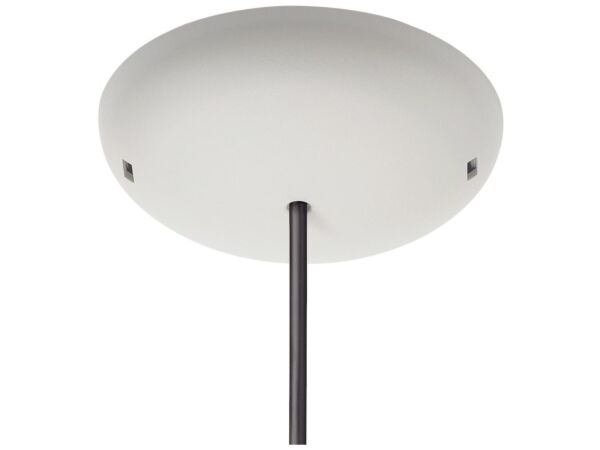 2_zFRISBI_rosone.jpg