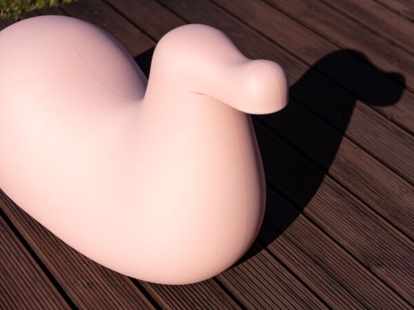 5_Magis_kids_dodo_rocking_bird_ambient_mono_MT80_pink_outdoor_01.jpg