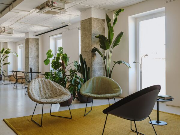 5_Arper_Adell_Lounge_chair_ph@Salva_Lopez_sled_V44_polypropylene_with_front_cushion_6803_6811_4.jpg