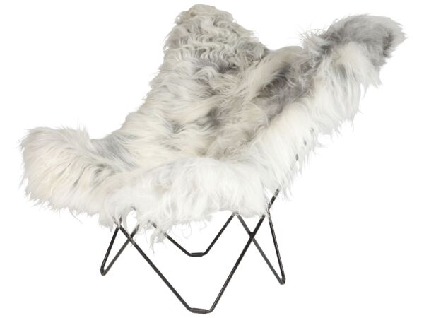 2_Iceland_Mariposa_wild_grey_black_coated_frame.jpg