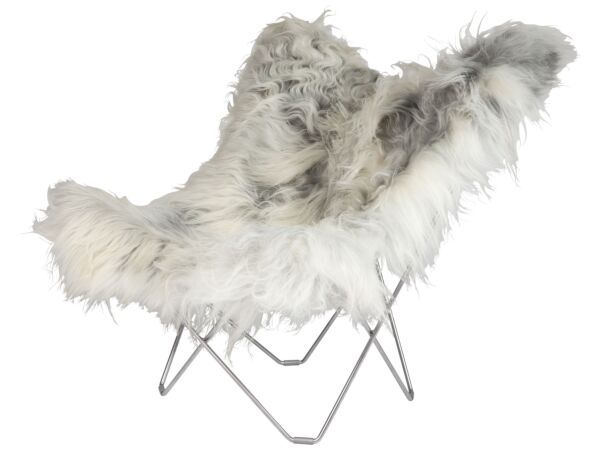 2_Iceland_Mariposa_wild_grey_matte_chrome_frame.jpg