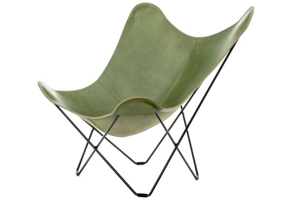 2_Pampa Mariposa Grass Green Black Frame High Res.jpg