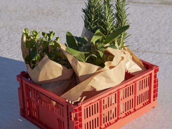 5_HAY Colour Crate M red.jpg