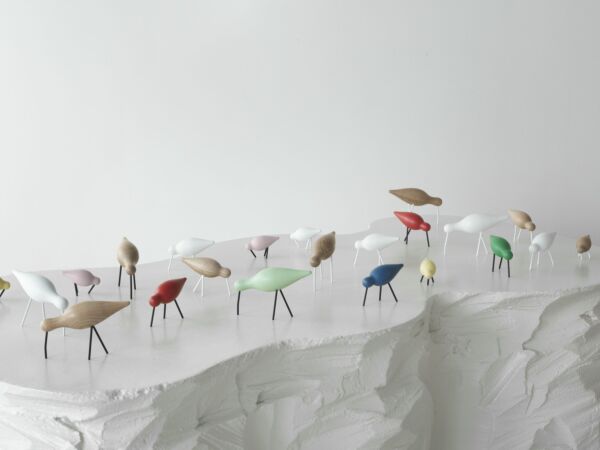 5_Shorebirds_Group.jpg