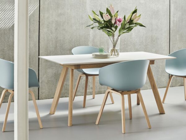 5_AAC 22 dusty blue wb lacquer oak_CPH 30 Extendable off white lino wb lacquer oak frame_Tint Tumbler green.jpg