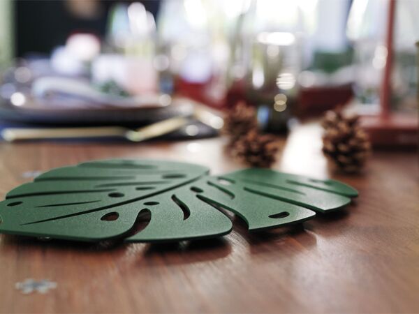 5_ENVIE_D_AILLEURS_MONSTERA_SEBASTIEN_EROME_2.jpg