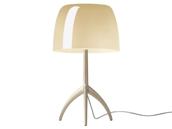 2_8200900094077lumiere-grande-warm-white-chapagne-dim1 (1)_1.jpg