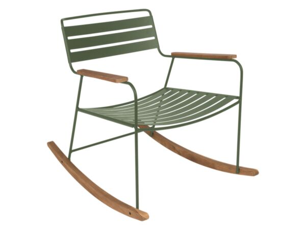 2_SURPRISING_ROCKING_CHAIR_CACTUS.jpg