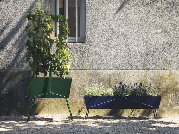 5_BASKET_AVERT_CEDRE_VIGNES_VISUEL2019_JEROME_GALLAND.jpg